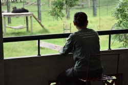 "Một ngày như mọi ngày" của các nhân viên Trung tâm Cứu hộ gấu Việt Nam