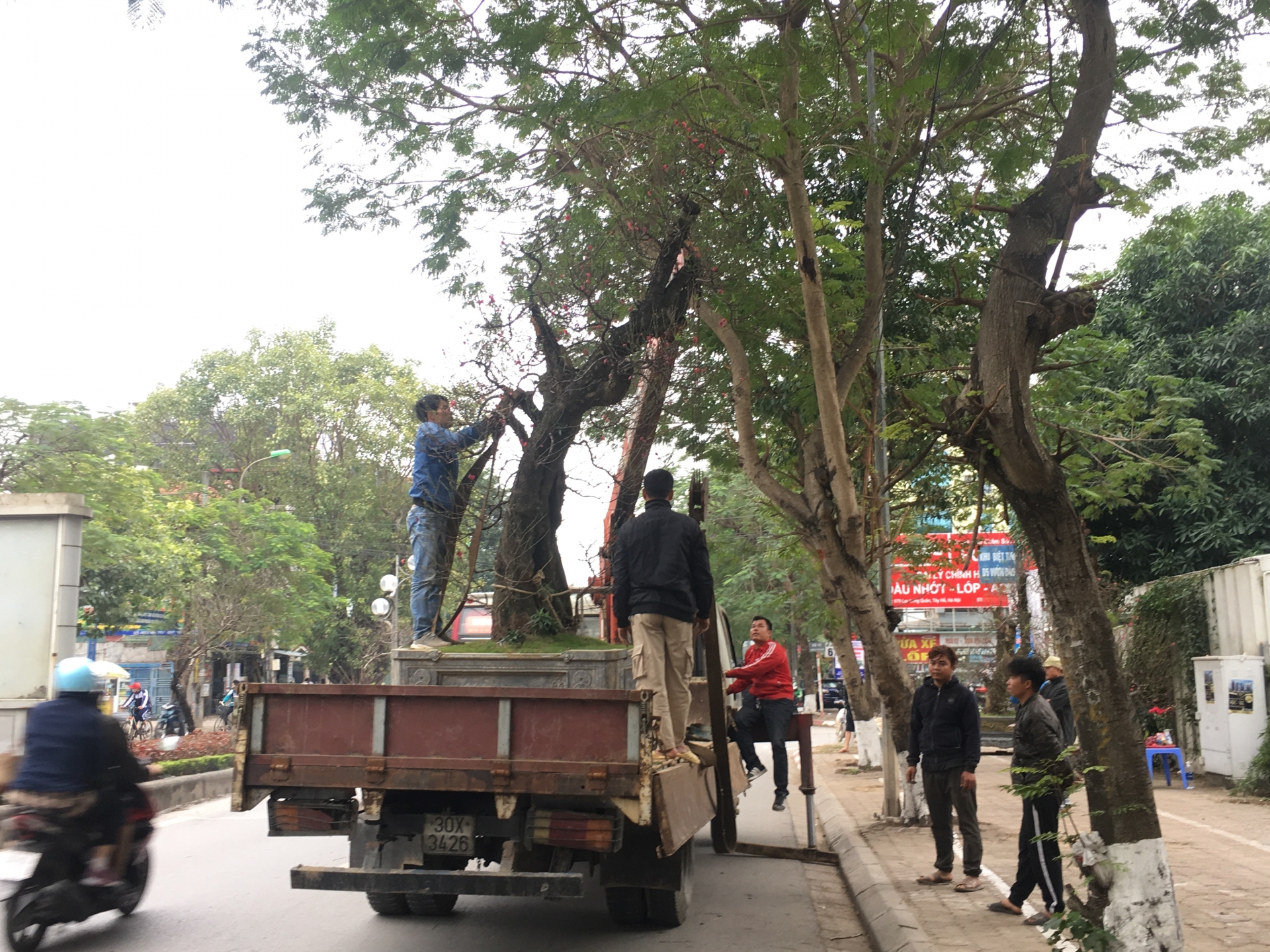 nguoi dan lang dao nhat tan tat bat chuan bi cho tet nguyen dan