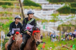 Phấn khích giải đua ngựa “trên mây” tại Sun World Fansipan Legend