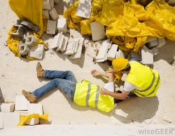 Kinh nghiệm quốc tế về mô hình bảo hiểm tai nạn lao động theo hình thức tự nguyện