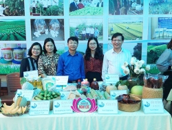 Huyện Nghi Lộc tập trung phát triển toàn diện kinh tế, xã hội