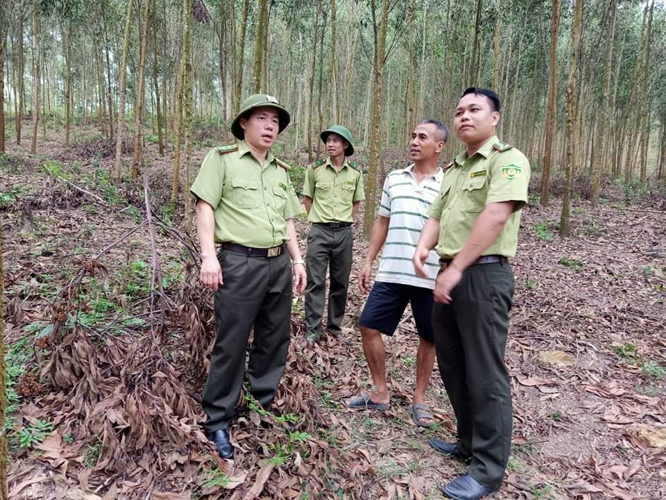 Kiểm lâm Nghệ An đạt kết quả toàn diện trong công tác bảo vệ, phát triển rừng