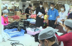 Lâm Đồng: Chính quyền, công đoàn đồng hành với doanh nghiệp tuyển dụng lao động
