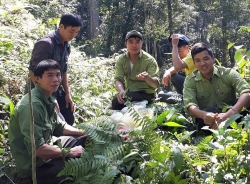 Kiểm lâm Nghệ An: Chủ động triển khai hiệu quả các nhiệm vụ được giao