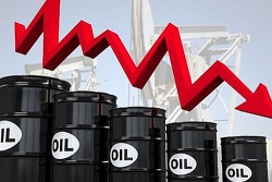 Giá xăng dầu hôm nay (6/8): Tiếp tục lao dốc do lo ngại về tăng trưởng toàn cầu