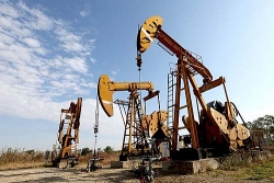 Giá xăng dầu (7/10): Giảm nhẹ đầu tuần do thị trường lo ngại kinh tế toàn cầu
