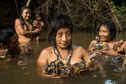 Những bí mật về hệ sinh thái ở rừng rậm Amazon