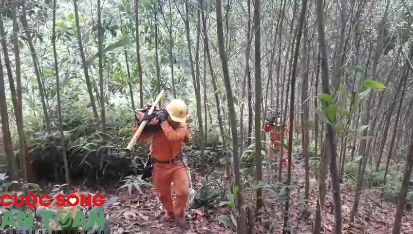 Vượt rừng sửa điện phục vụ đồng bào  vùng cao Quảng Nam