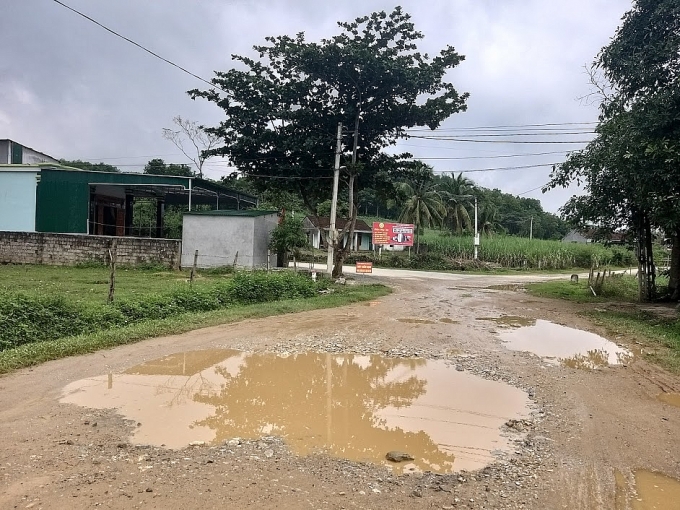 nghe an cu sau mua duong tinh lo chat luong thua duong lang