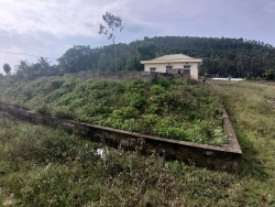 bi nghi trom tien nguoi phu nu do thuoc diet co xuong gieng hang xom