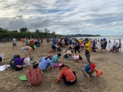 Hàng trăm người dân, du khách ra bãi biển vớt 'lộc trời' sau bão số 4