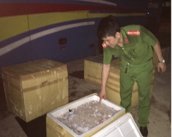 327 cơ sở tại Nghệ An bị xử phạt về vệ sinh, an toàn thực phẩm