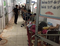 Nguy cơ bùng phát dịch sốt xuất huyết tại tỉnh Quảng Bình