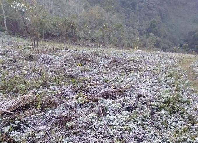 lanh 1 c nhieu ban vung cao xu nghe xuat hien bang gia