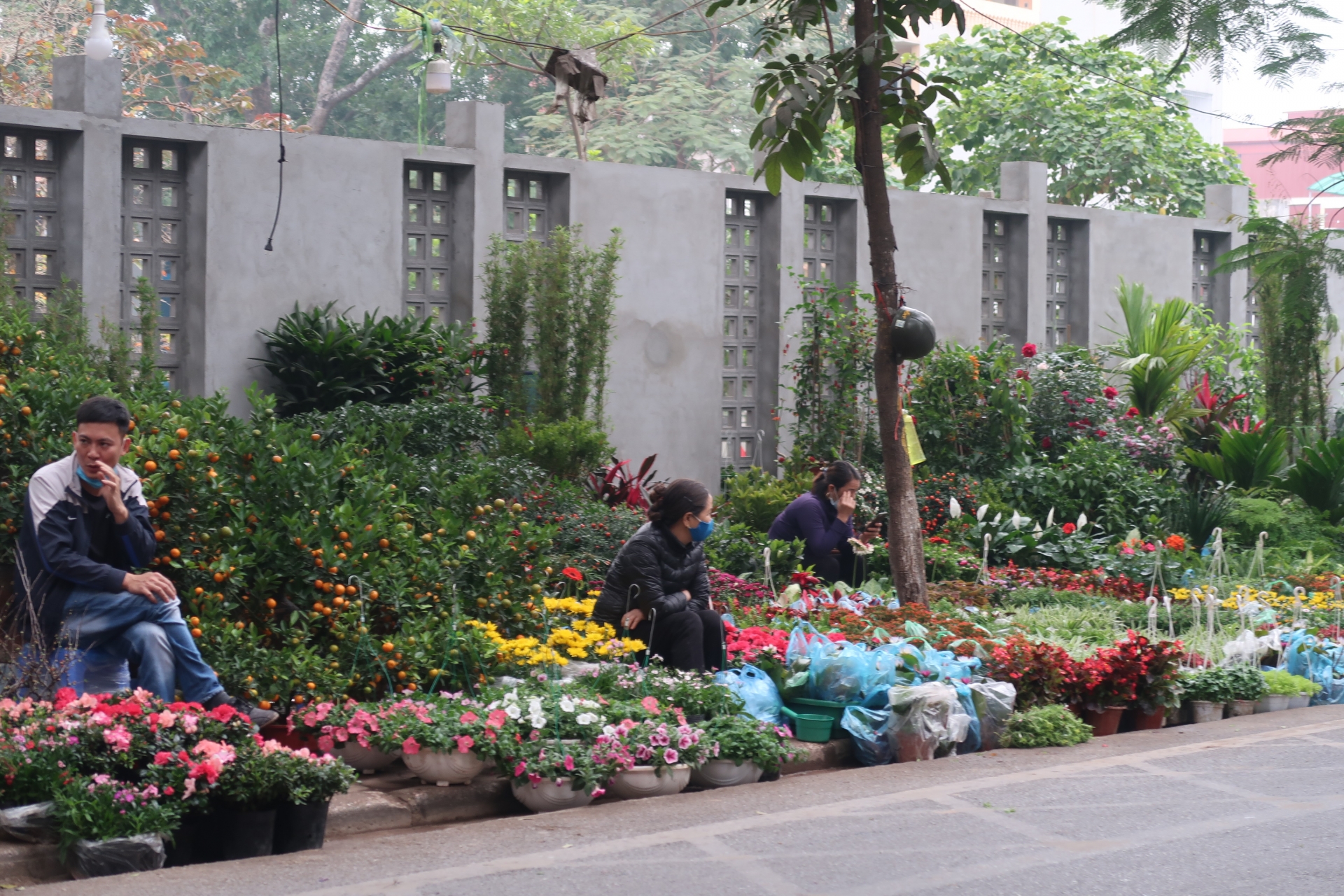 Lao động chợ hoa lao đao vì dịch Covid - 19