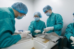 Gấp rút đẩy nhanh tiến độ thử nghiệm và sản xuất vắc xin Covid-19 ở Việt Nam