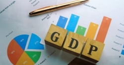 GDP quý 3 có thể đạt 11%, dòng vốn FDI sẽ mạnh hơn trong nửa cuối năm