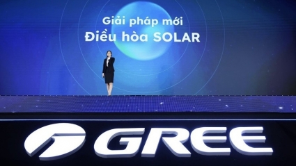 Gree Việt Nam cùng sự kiện quốc tế “Made By Gree - Loved by the world”