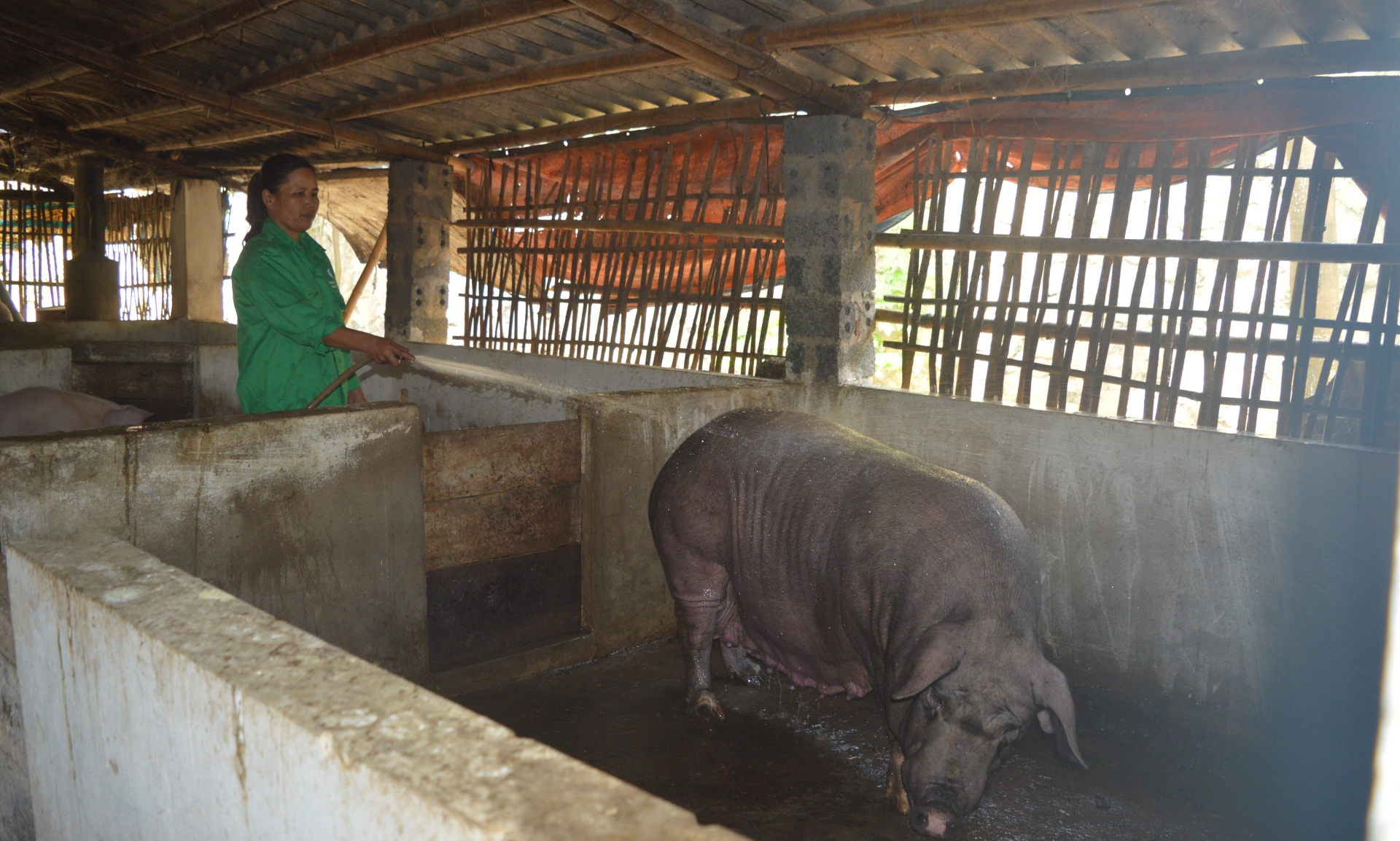 Nữ công nhân lao động tiêu biểu trong phong trào thi đua “Giỏi việc nước, đảm việc nhà”