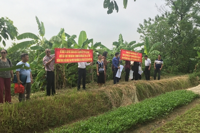 nguoi dan mua nha du an viet inc to cong ty hung hai lua dao