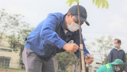 LĐLĐ TP. Đà Nẵng khởi động năm mới với "Tết trồng cây"