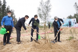 Ngân hàng BIDV trồng 6.500 cây xanh tại Nghệ An