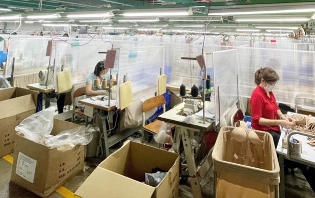 Công nhân Công ty Triumph Việt Nam được tăng 4% lương đã trở lại làm việc
